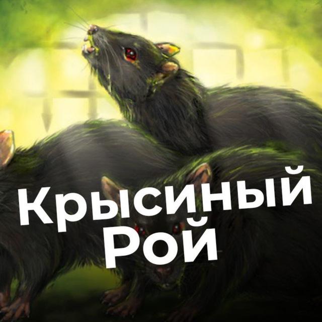 You are currently viewing Телеграм (Telegram) Канал – «Крысиный Рой 18+ 🐀»