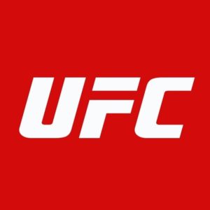 Read more about the article Телеграм канал – UFC/Bellator/ACA/Запись боев