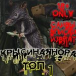 Read more about the article Телеграм канал – Крысиная нора Фулл Сливы 18+