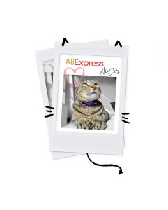 Подробнее о статье Aliexpress Superdeals