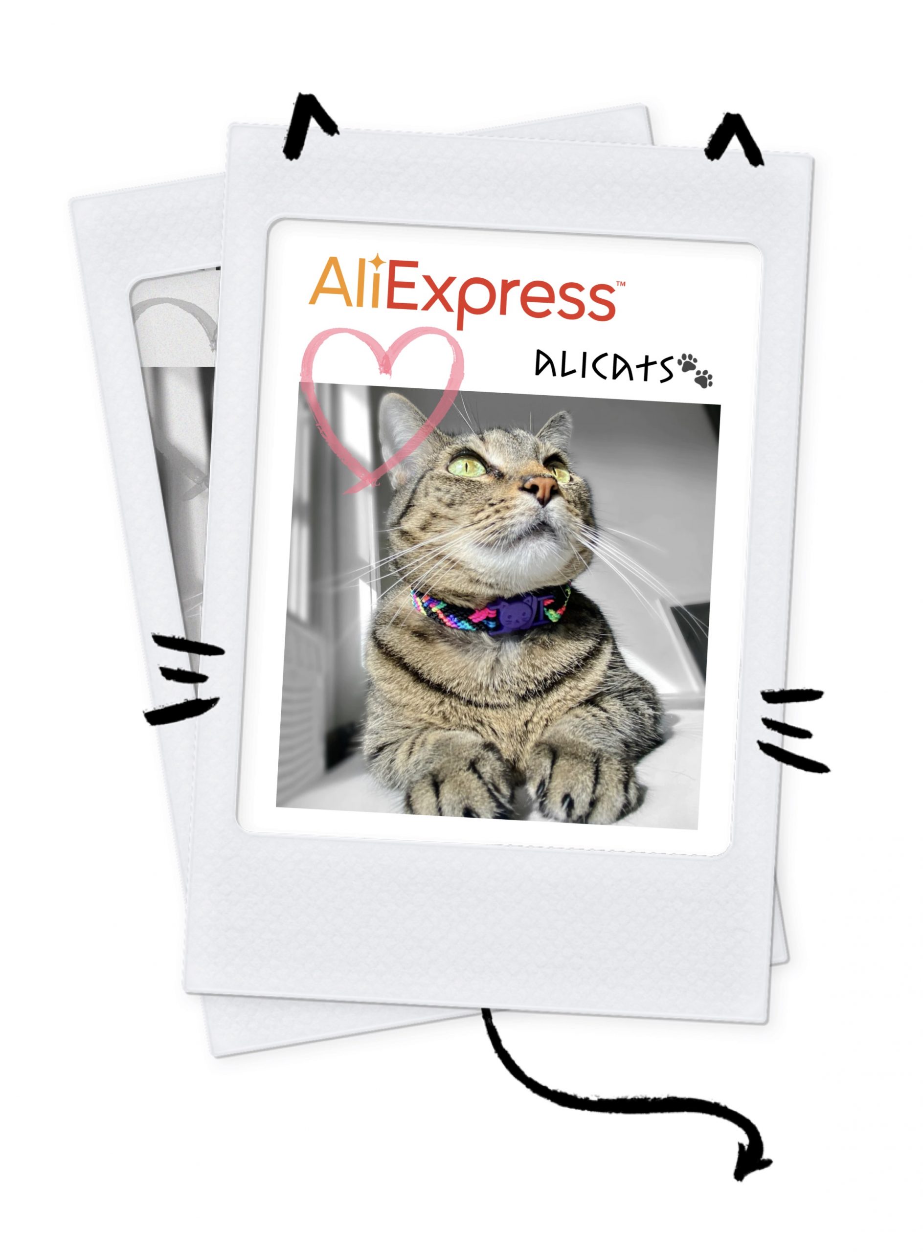 Вы сейчас просматриваете AliExpress Best Deals!