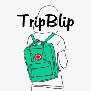 Read more about the article Trip Blip