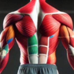 Подробнее о статье BodyGym